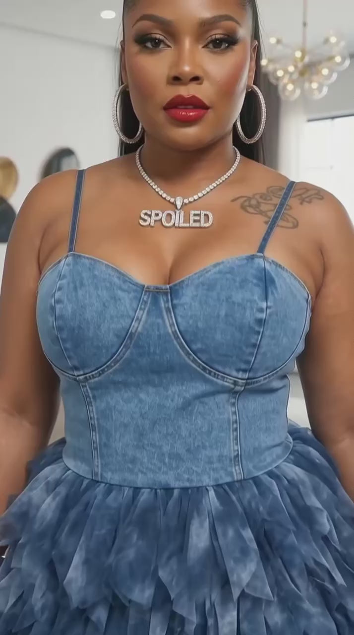 ROYALITY DENIM DRESS